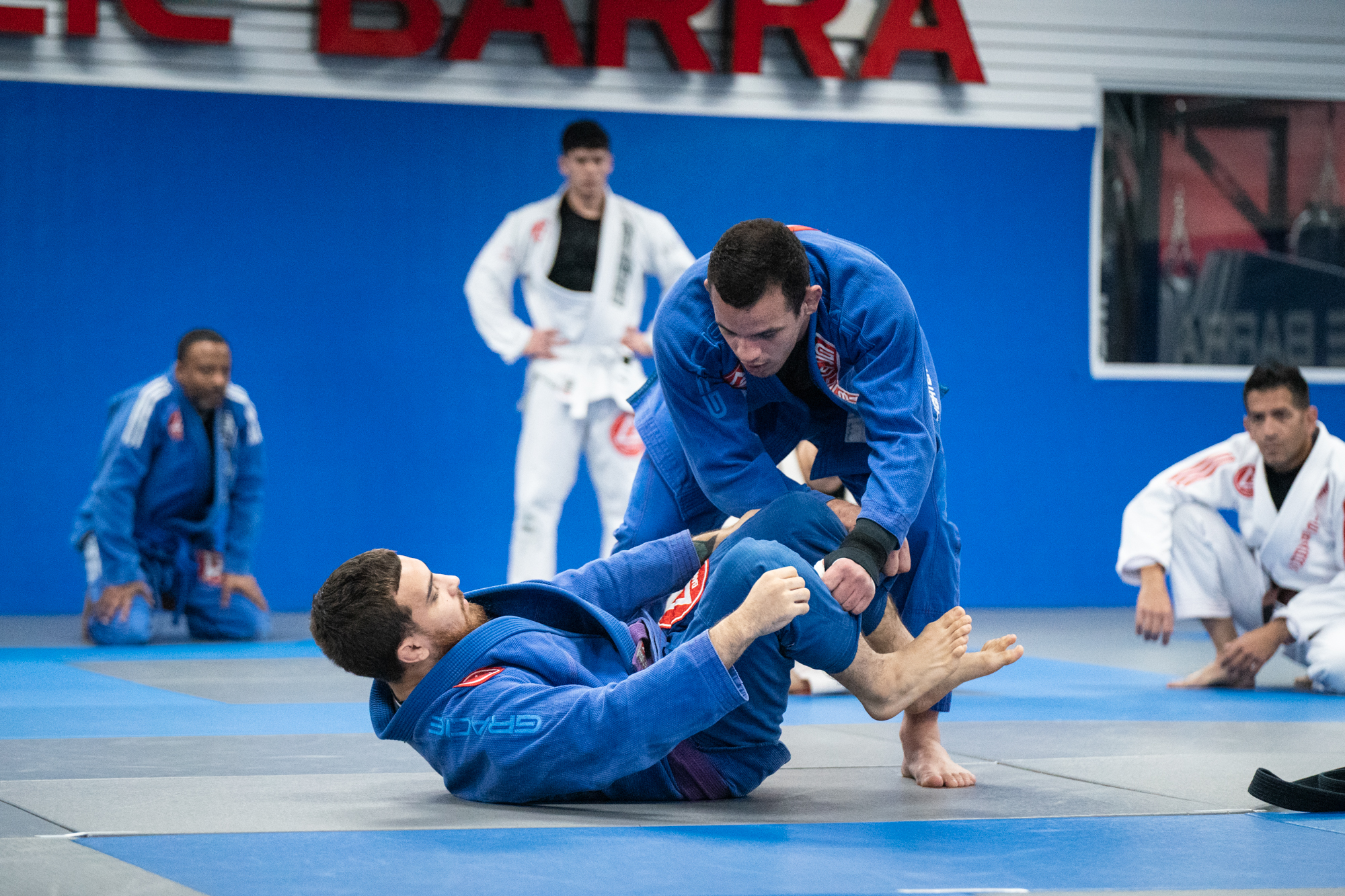 Gi BJJ 1-18