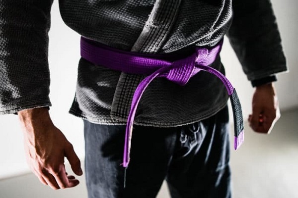 How many belts are there in jiu jitsu and what does each one represent?