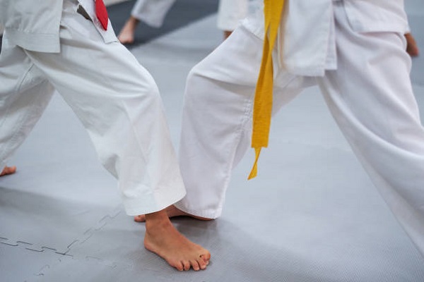 The benefits of kids' jiu-jitsu and fun activities in physical education!