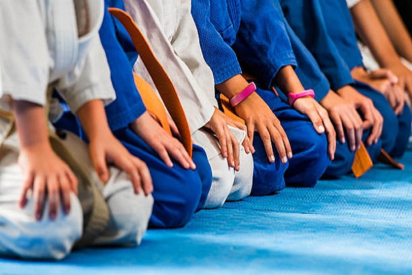 Empowering little grapplers: unleashing the positive impact of jiu-jitsu on children's academic performance