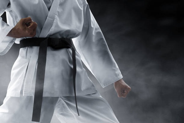 Jiu-jitsu: the gentle art of self-defense