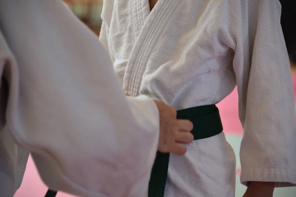 The impact of jiu-jitsu on children's development: building champions both on and off the mat